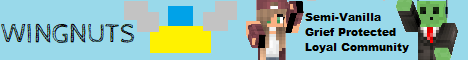 Wingnuts Minecraft's banner