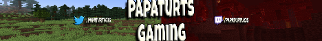 TurtleWorldSMP S2's banner