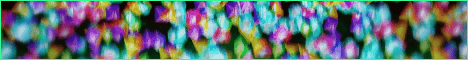 Sapling SMP's banner