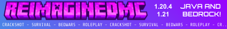 ReImaginedMC's banner