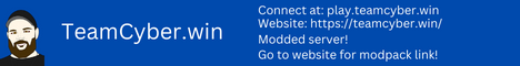teamcyber.win's banner
