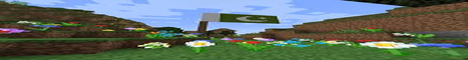 TrondheimCraft's banner