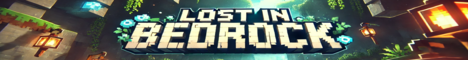 LostInBedrock's banner