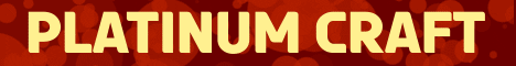 Platinum Craft's banner