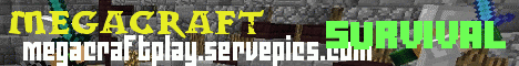 Mega Craft's banner