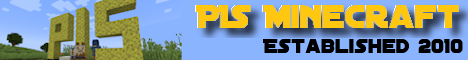 PIS Minecraft's banner