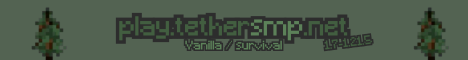 TetherSMP's banner