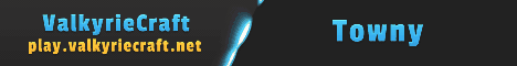 ValkyrieCraft's banner