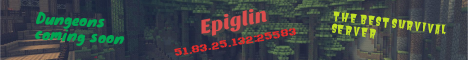 Epiglin's banner