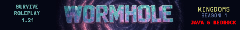 The Wormhole's banner