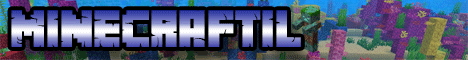 MinecraftIL's banner