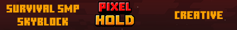 Pixel Hold's banner