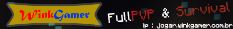WinkGamer - PVP & Surviva's banner