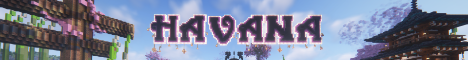 HavanaSMP's banner