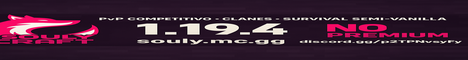 SoulyCraft's banner
