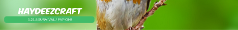 HaydeezCraft's banner