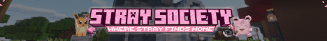 Stray Society's banner
