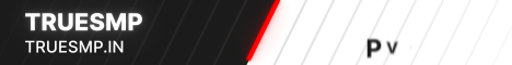 TrueSMP's banner