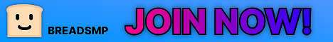 Breadsmp's banner