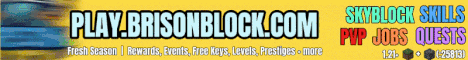 Brison Block's banner