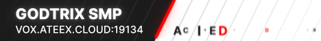 godtrixsmp's banner