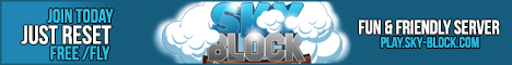 SkyBlock's banner