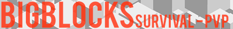 BigBlocks's banner