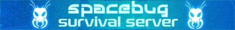 SpaceBugSMP's banner