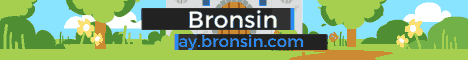 Bronsin City's banner