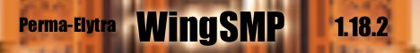 WingSMP's banner