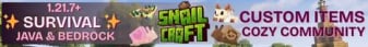 SnailCraft's banner