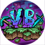 VentureBlock MC's icon