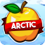 ArcticMC NA's icon