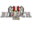 Bleach Evolved's icon