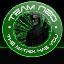 Team-NeOs Survival Server's icon