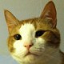 CatsCraft's icon