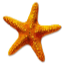 MC Beach Club's icon