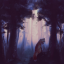 FoxyCraftNetwork's icon
