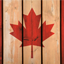 New New Canada's icon