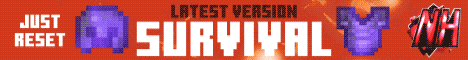 banner for Netherite server
