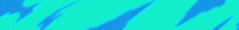 banner for NAVELYA server