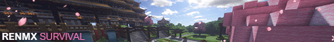 banner for RENMX server