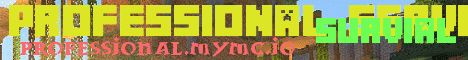 banner for Professional Server server