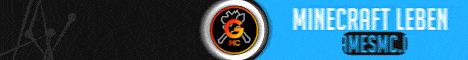 banner for Games MC server