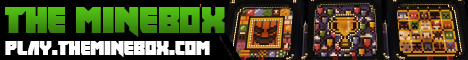 banner for The Minebox server