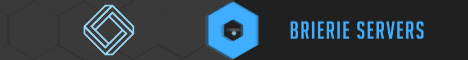 banner for Brierie Server Network server