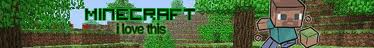 banner for SarmaCraft server