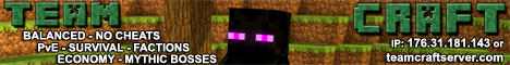 banner for TeamCraft server