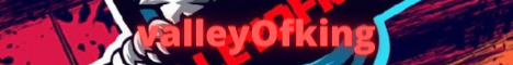 banner for valleyOFking server
