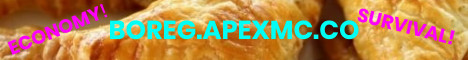 banner for Boreg Mc server